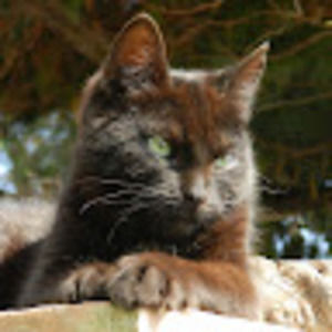 Meet your Posher, Roxanne